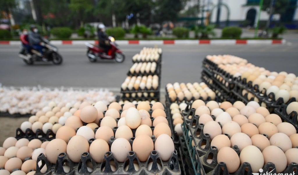 Thật giả lẫn lộn, làm thế nào để không mua phải trứng gà giả trên thị trường?