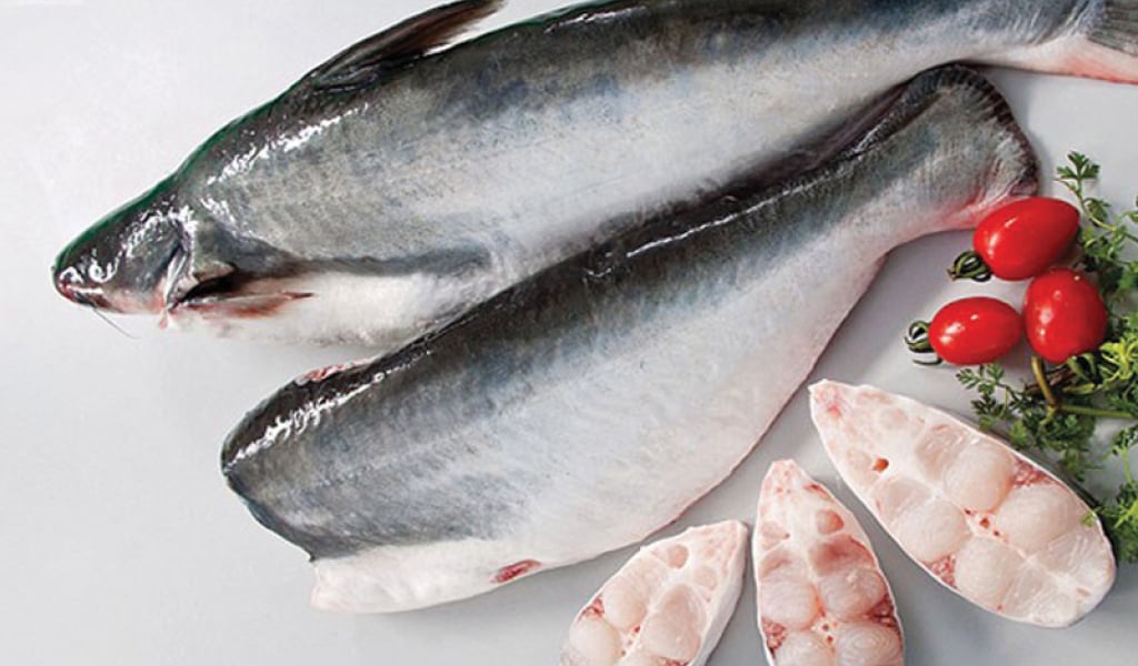 Thành phần dinh dưỡng trong cá basa, những lợi ích và lưu ý khi ăn cá basa