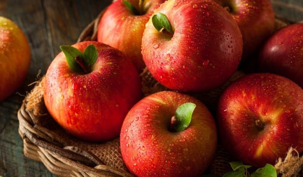 Tổng hợp 19 loại thực phẩm giúp tiêu hóa tốt, tăng cường hấp thu chất dinh dưỡng