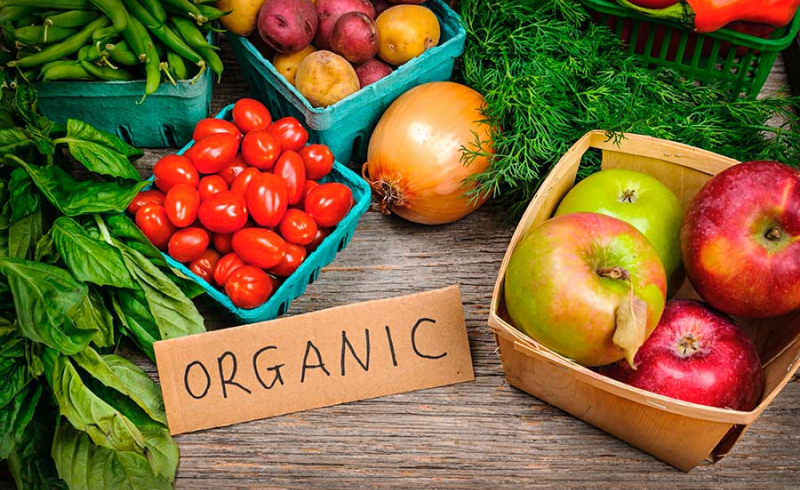 Lý do vì sao bạn nên sử dụng rau sạch Organic cho bữa ăn gia đình