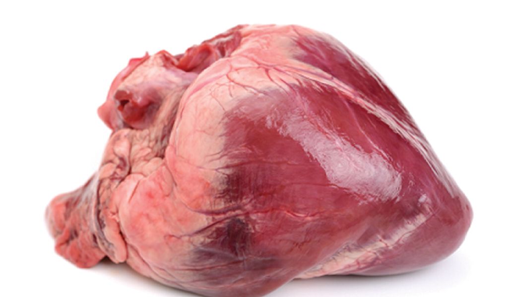 Tim lợn có tốt cho bà bầu không? Nên ăn tim lợn bao nhiêu là đủ?