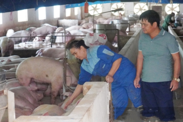Phát triển nông nghiệp tuần hoàn - cách làm mang lại hiệu quả lớn