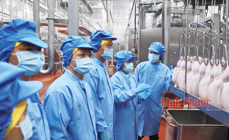 Vững vàng vượt thách thức