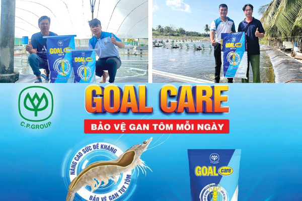 Goal Care bảo vệ gan tôm mỗi ngày