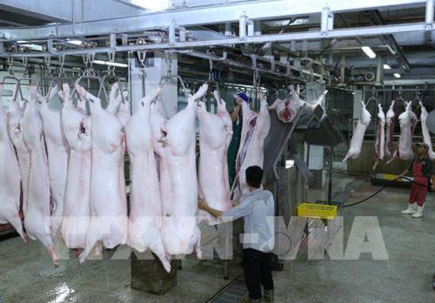 Ổn định giá thịt lợn từ nay đến Tết Nguyên đán Canh Tý 2020