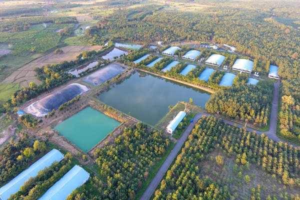 C.P. Việt Nam tiên phong thực hành cam kết Net Zero, hướng đến tương lai xanh