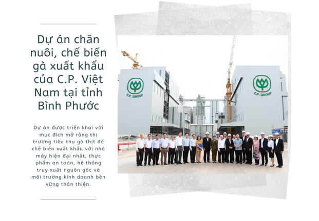 Thường trực Ban Bí thư Trần Quốc Vượng đánh giá cao chuỗi dự án chăn nuôi và chế biến gà xuất khẩu của C.P. Việt Nam