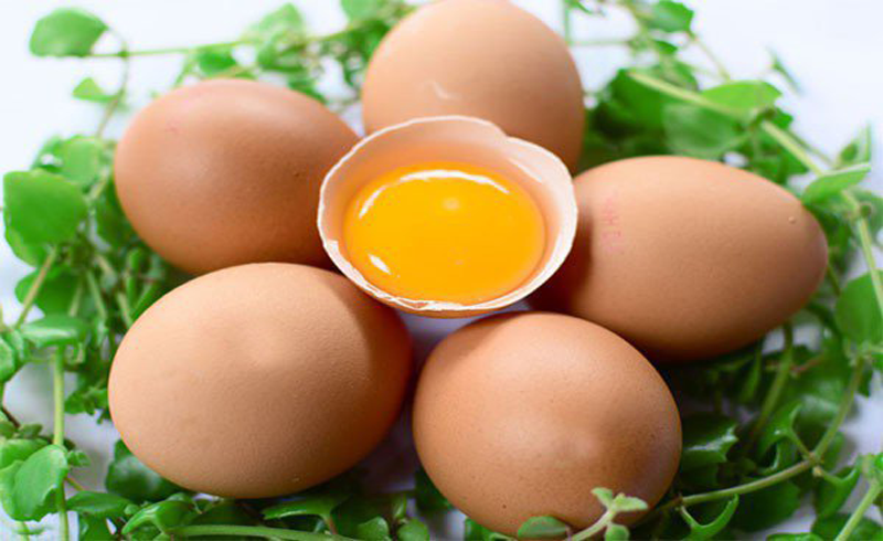 Lợi ích sức khỏe của lòng đỏ trứng mà ít người biết đến