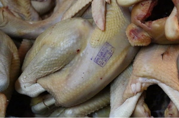 Làm thế nào để không mua phải thịt gà thải kém chất lượng trên thị trường