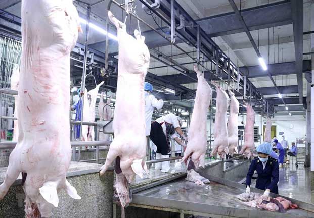 C.P. Việt Nam: Có hiểu nhầm, C.P không tăng giá heo pha lóc mà còn giảm giá heo mảnh