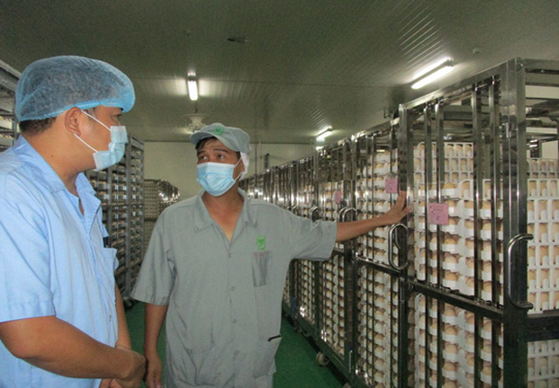 Đại gia thịt gà Thái Lan mở nhà máy hiện đại nhất ở Việt Nam