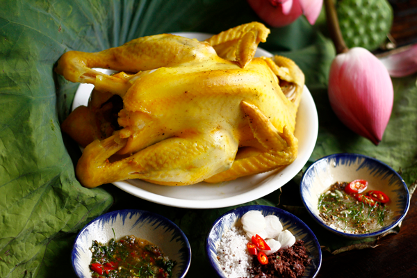 Luộc gà không cần nước