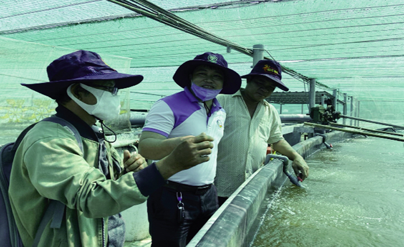 Tôm giống C.P. Việt Nam: Từ thương hiệu tới đẳng cấp