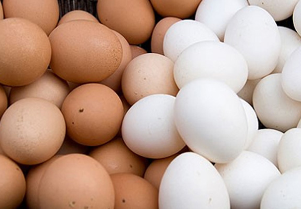 Ăn trứng gà hay trứng vịt tốt hơn cho sức khỏe?