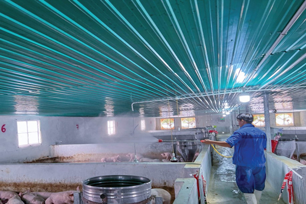 CPF – Combine Pig: Giải pháp nuôi heo công nghệ cao của mọi nhà