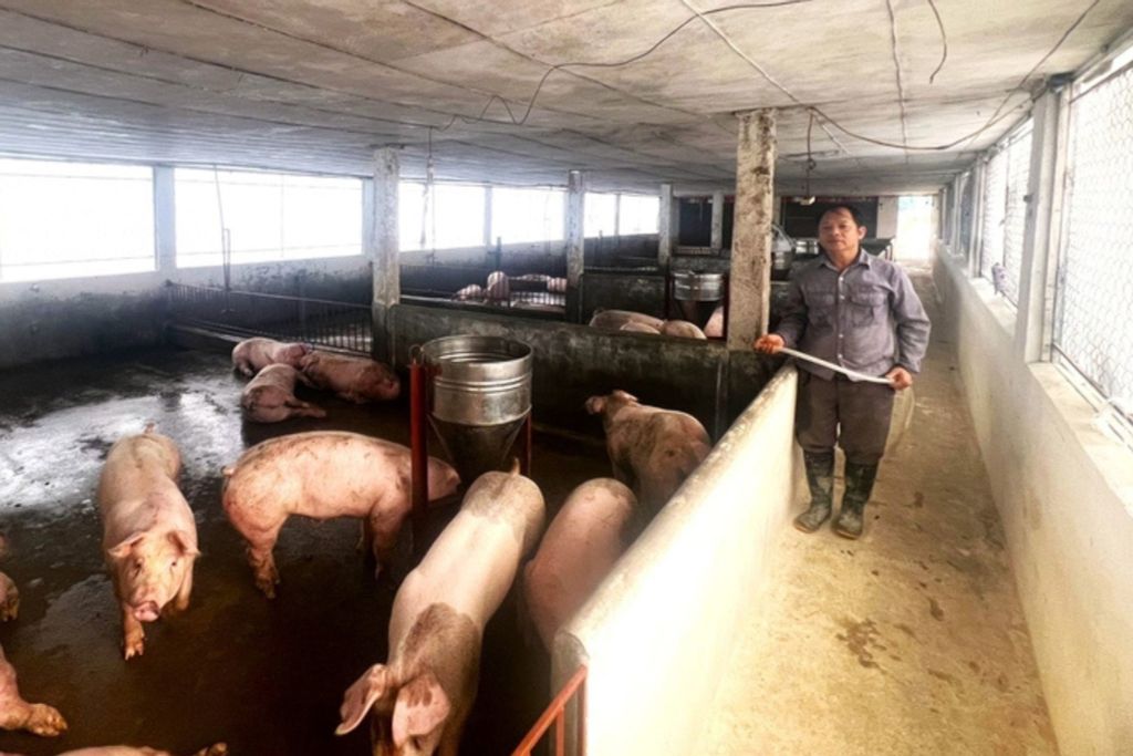 Chăn nuôi an toàn sinh học, người dân được mở mang tri thức