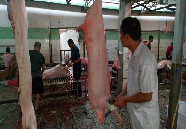 Thịt heo an toàn vẫn đông khách hàng