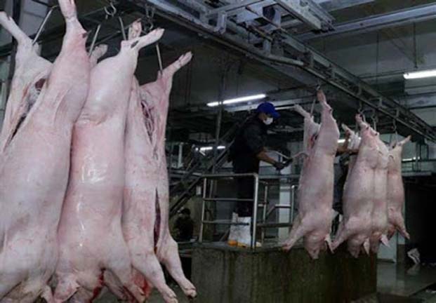 Sức mua thịt lợn sạch có dấu kiểm dịch tăng trở lại
