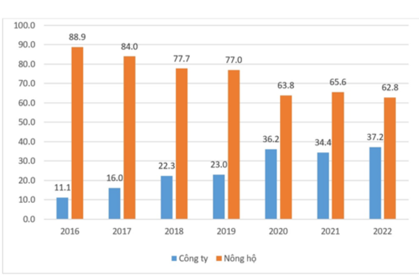 Chăn nuôi heo quy mô lớn: Chiếm thế thượng phong