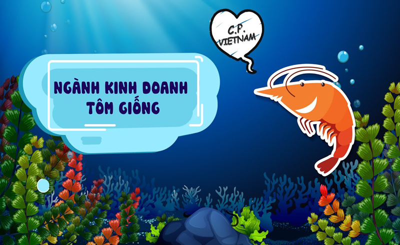 Ngành Kinh Doanh Tôm Giống C.P. Việt Nam