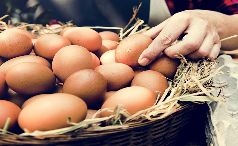 Bí quyết bảo quản trứng gà luôn tươi ngon, giữ được lâu