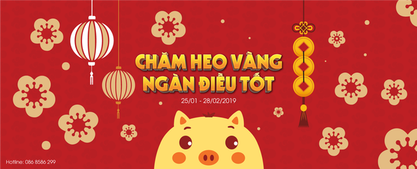 CHĂM HEO VÀNG, NGÀN ĐIỀU TỐT