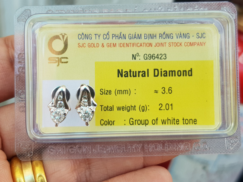 bông tai kim cương thiên nhiên vàng 10kt