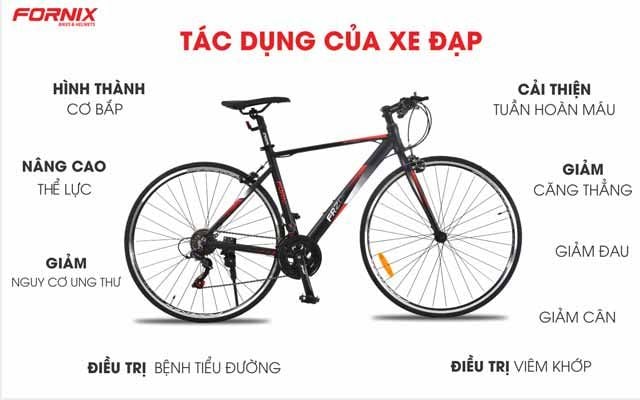 Những tác hại của việc đi xe đạp không đúng cách  Báo Hay