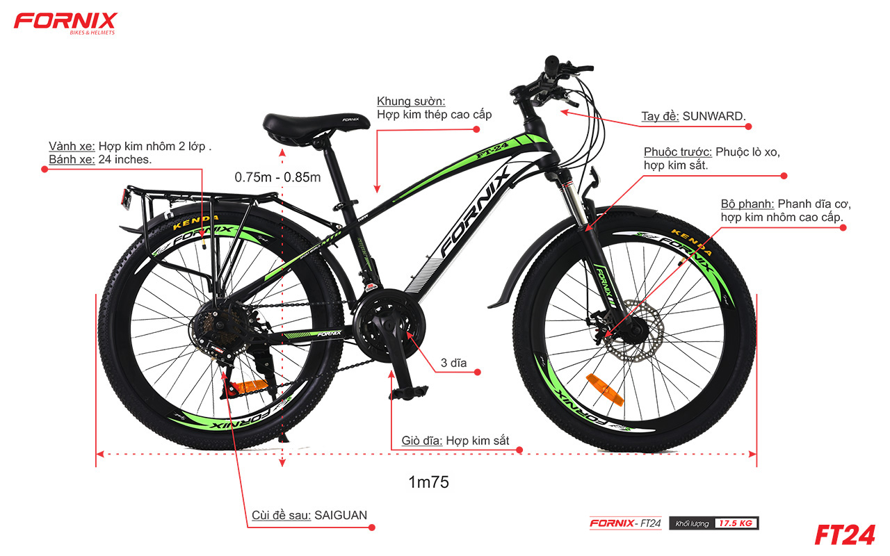 chi tiết fornix ft24