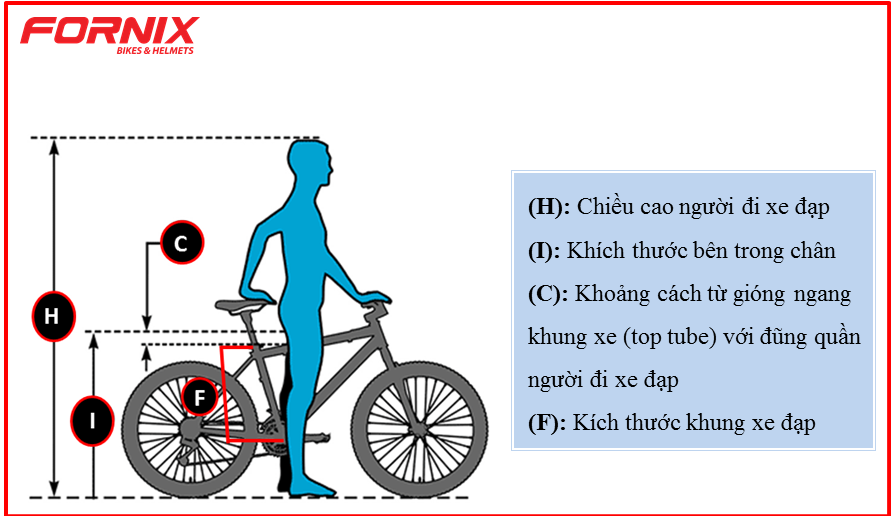 4 bước để chọn kích thước xe đạp thể thao phù hợp  websosanhvn