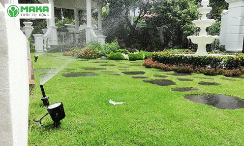 Các loại béc tưới cỏ cho sân vườn được yêu thích nhất #1