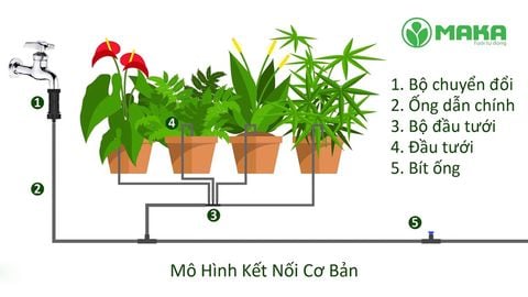 Hướng dẫn sử dụng bộ tưới gốc nhỏ giọt Elgo CDK24