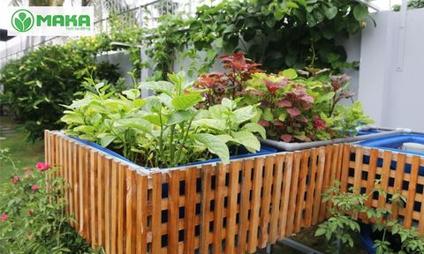 Lễ 2/9 thoải mái đi chơi xa mà không lo cây chết