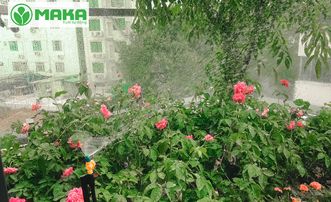 Công nghệ tưới tự động giúp tiết kiệm 70% thời gian tưới cây