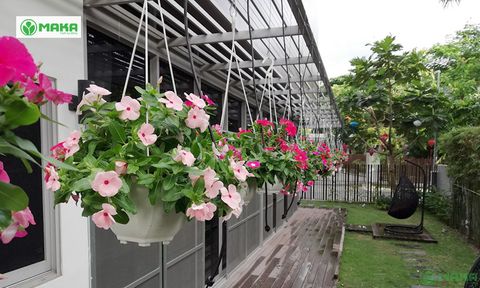 Thi công hệ thống tưới tự động khu vườn anh Quang ở Quận 9
