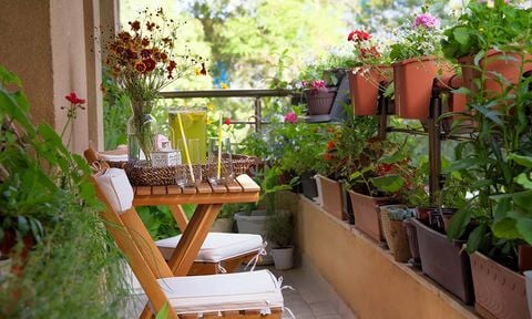 Giải pháp Tưới tự động cho Ban công Chung cư - Nhà phố
