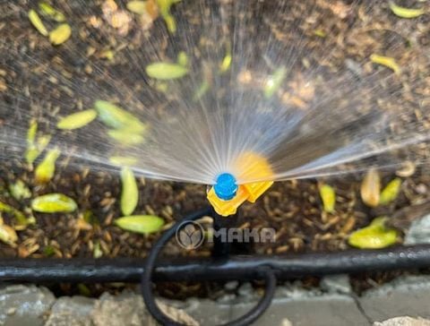 Hướng dẫn chọn béc tưới phù hợp theo từng loại cây trồng