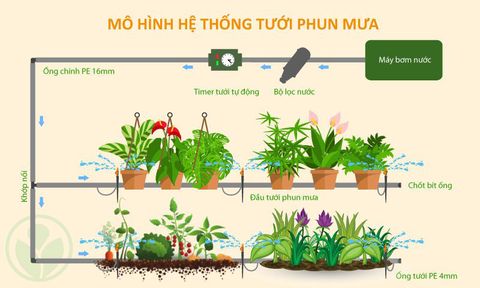 Hướng dẫn cách làm hệ thống tưới phun mưa tại nhà