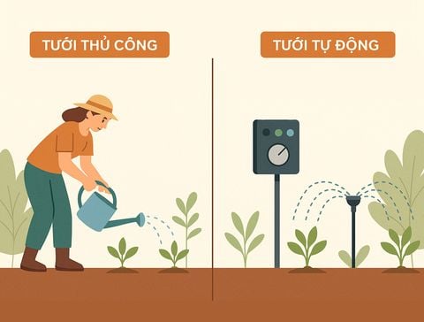 So sánh hệ thống tưới thủ công và tưới tự động - Đầu tư nào hiệu quả hơn?