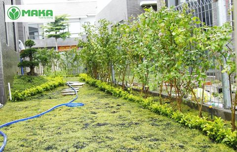 Thời điểm nào thích hợp để lắp hệ thống tưới cây tự động?