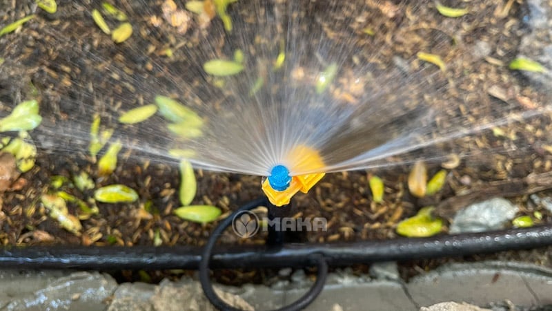 cach-chon-bec-tuoi-phu-hop-theo-loai-cay-trong