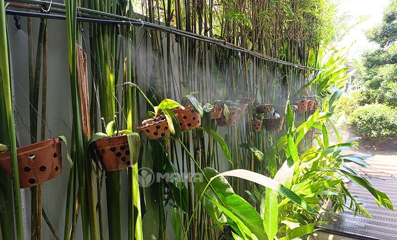 bec-phun-suong-outlet-fogger-1-khi-tuoi-lan