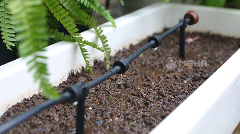 bec-tuoi-nh-giot-tiet-kiem-nuoc