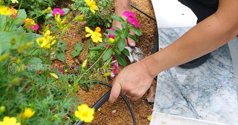 nhan-vien-maka-dang-thi-cong-he-thong-tuoi-2