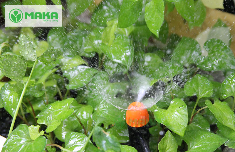 g-dau-tuoi-phun-mua-360-do-micro-mist-sprayer-on-spike-claber-91229-v1.jpg
