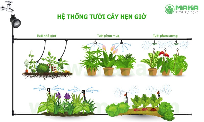 Hệ thống tưới cây hẹn giờ tự động 2