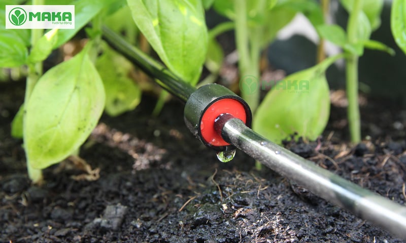 Hệ thống tưới nhỏ giọt tự động cho khu vườn