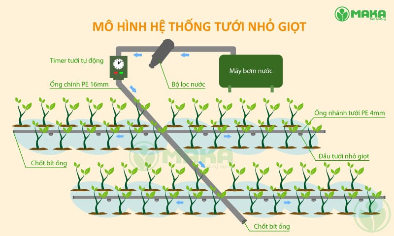 Mô hình hệ thống tưới nhỏ giọt dùng bơm DC tấm pin năng lượng mặt trời