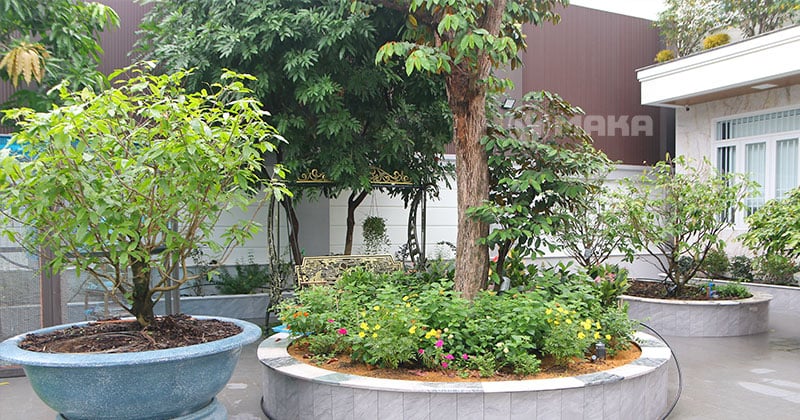 san-vuon-rong-lon-cua-khach