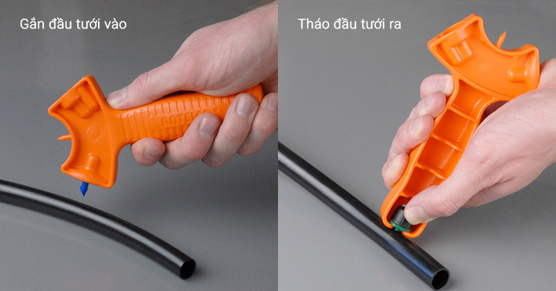ung-dung-duc-lo-va-gan-dau-tuoi-nho-giot-antelco